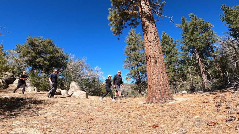 SunnySide E-Bikes Logo