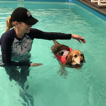 The Puddle - Brandy's first swim with Cathy @ The Puddle! 3.23.18 - Pet Services Near Me - South Elgin, Illinois