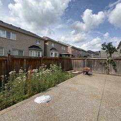 T J Sitescape Solutions - Before weed tear out