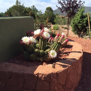 Desert Scape - Landscaping Near Me Desert Scape - Landscaping Near Me