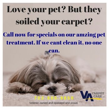Veterans Affairs Carpet Care - Yes!! We Clean pet stains. - Carpet Cleaning Near Me Veterans Affairs Carpet Care - Yes!! We Clean pet stains. - Carpet Cleaning Near Me