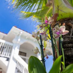 Palm Breeze Hotel - Beautiful pool ambiance