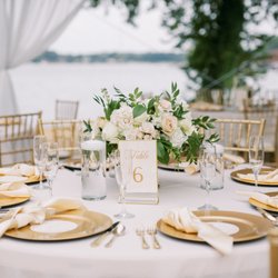 Tudor House-Franklin Park Civic Center - Another great shot from Balsam and Blush Photographer