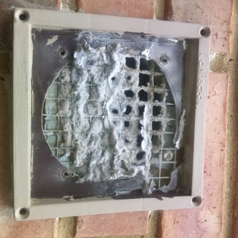 Mr  Duct Cleaner - Mr. Duct Cleaner - Blocked Dryer Vent Exit - Air Duct Cleaning Near Me - Allen, Texas
