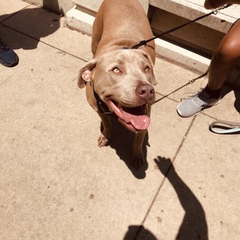 Cloud Gate - Public Art Near Me - Chicago, Illinois Cloud Gate - Public Art Near Me - Chicago, Illinois