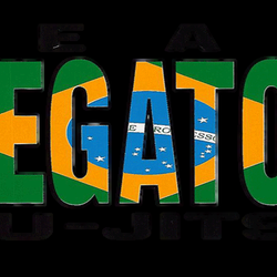 Megaton Brazilian Jiu - Jitsu