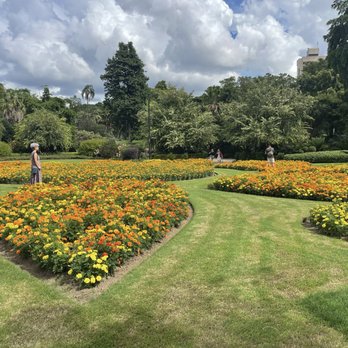 City Botanic Gardens - Botanical Gardens Near Me - Brisbane, QLD