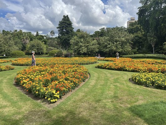 City Botanic Gardens by null