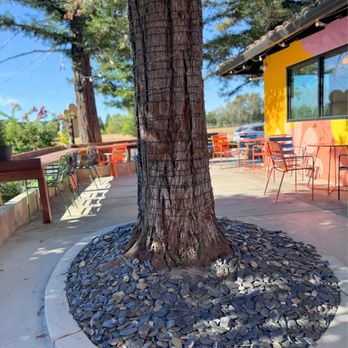 Enjoy Coffee - Outside - Coffee & Tea Near Me - Vacaville, California Enjoy Coffee - Outside - Coffee & Tea Near Me - Vacaville, California