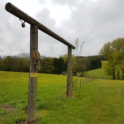 Rebstock