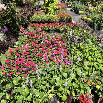 Greenstreet Gardens - Nurseries & Gardening Near Me - Alexandria, Virginia