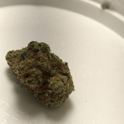 Sanctuary Medicinals Gardner - Banana