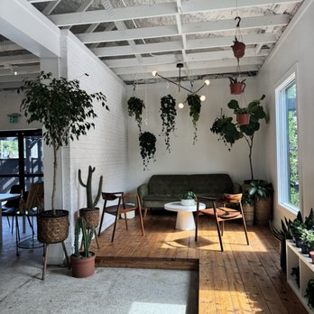 Spruce - Interior seating - Coffee & Tea Near Me - Jacksonville, Florida