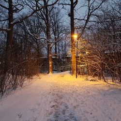 Huron Park