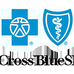 Blue Cross Blue Shield
