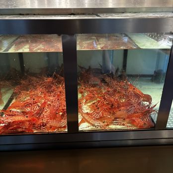 The Dolar Shop - Live Prawns - Chinese Near Me - Bellevue, Washington The Dolar Shop - Live Prawns - Chinese Near Me - Bellevue, Washington