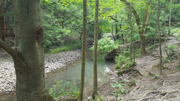 David A. Balfour Park by null