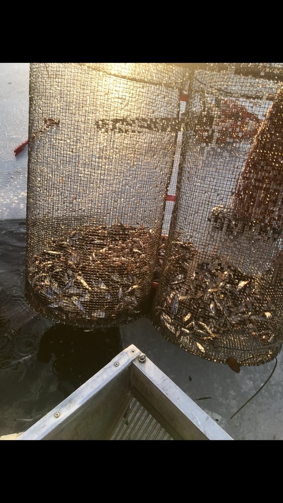 BAIT BUCKET Hunting & Fishing Supplies 478 Boothbay Rd,