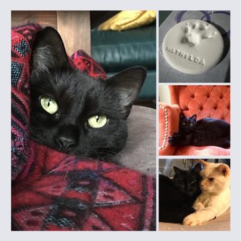 Lap of Love - Exceptional care, a less stressful environment, and other pets get to say goodbye. - Veterinarians Near Me Lap of Love - Exceptional care, a less stressful environment, and other pets get to say goodbye. - Veterinarians Near Me
