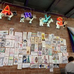Amy's Ice Creams