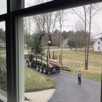 North Smithfield Tree Service - Removal of the trees that were cut down today. - Tree Services Near Me - North Smithfield, Rhode Island North Smithfield Tree Service - Removal of the trees that were cut down today. - Tree Services Near Me - North Smithfield, Rhode Island