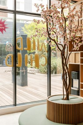 Wild Child Gym by null