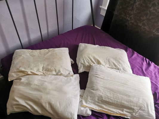 Lucky D's Hostel San Diego by null