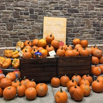 Wegmans Wine & Beer - Wegmans pumpkin patch - Beer, Wine & Spirits Near Me - Glen Mills, Pennsylvania Wegmans Wine & Beer - Wegmans pumpkin patch - Beer, Wine & Spirits Near Me - Glen Mills, Pennsylvania