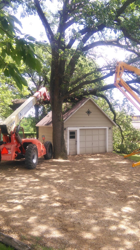 KIMMET BEST VALUE TREE SERVICE Updated July 2024 Fairmont