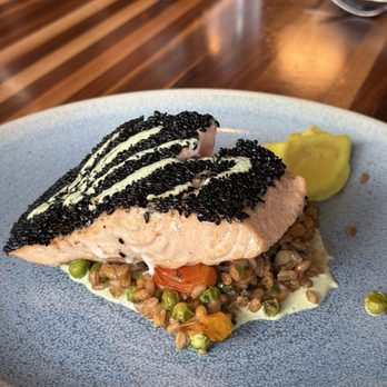 AP Rooftop - Salmon - Bars Near Me - Asbury Park, New Jersey AP Rooftop - Salmon - Bars Near Me - Asbury Park, New Jersey