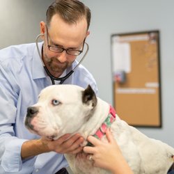 The Oncology Service - Richmond