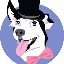 Dapper Dog Grooming