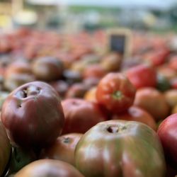 SnoValley Gardens - Heirloom Tomato
