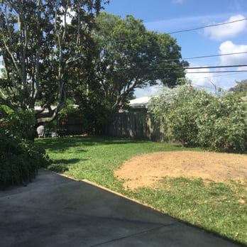 Acorn Tree Service - Work completed. - Tree Services Near Me - Clearwater, Florida