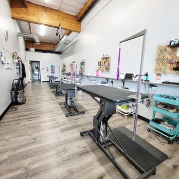Mountain Dog Lounge - We offer comfort grooming for all breeds and sizes. - Pet Training Near Me - Heber City, Utah Mountain Dog Lounge - We offer comfort grooming for all breeds and sizes. - Pet Training Near Me - Heber City, Utah
