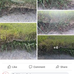 Turf Master Sod Farm