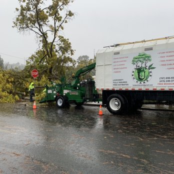 Urban Tree Care - Emergency job! - Tree Services Near Me Urban Tree Care - Emergency job! - Tree Services Near Me