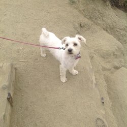 Verdugo Pet Cabin