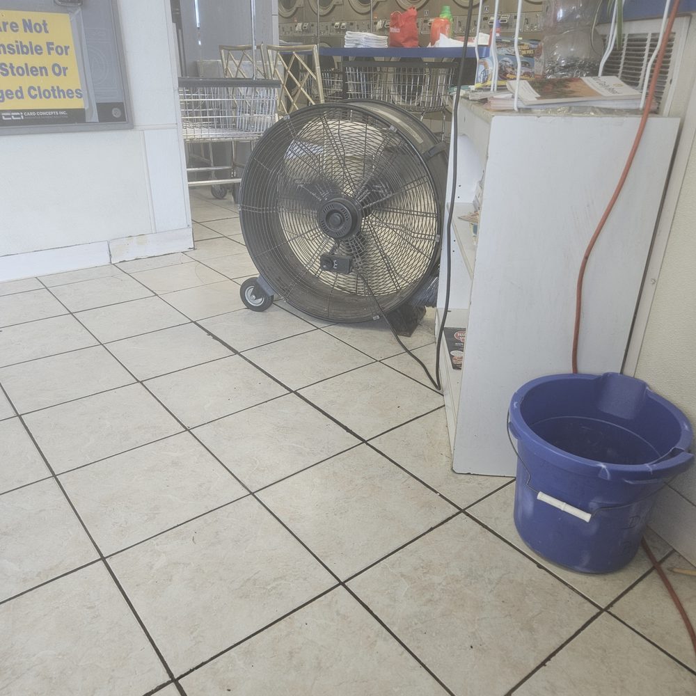 Laundromat 38 - Old fan blowing dust and dirt. - Laundromat Near Me - Lumberton, New Jersey Laundromat 38 - Old fan blowing dust and dirt. - Laundromat Near Me - Lumberton, New Jersey