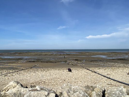 Auberge paysanne de la mer by null