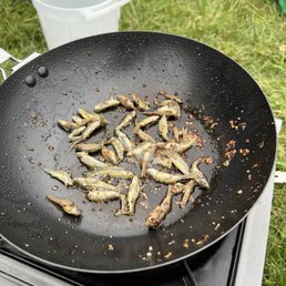 Live bait