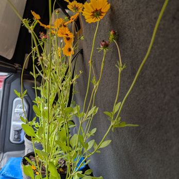 Plant Place Nursery - Nurseries & Gardening Near Me - Jacksonville, Florida Plant Place Nursery - Nurseries & Gardening Near Me - Jacksonville, Florida