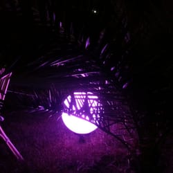 Madhouse - Giardino