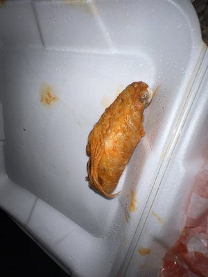 Naked City Pizza Paradise by null