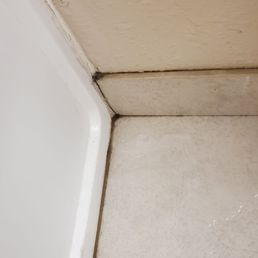 Mold! Mold!