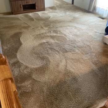 Protech Eco-Solutions - This was after he was done. I couldn't believe he got it all out! - Carpet Cleaning Near Me - Sterling, Illinois Protech Eco-Solutions - This was after he was done. I couldn't believe he got it all out! - Carpet Cleaning Near Me - Sterling, Illinois