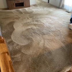 Protech Eco-Solutions - This was after he was done. I couldn't believe he got it all out!
