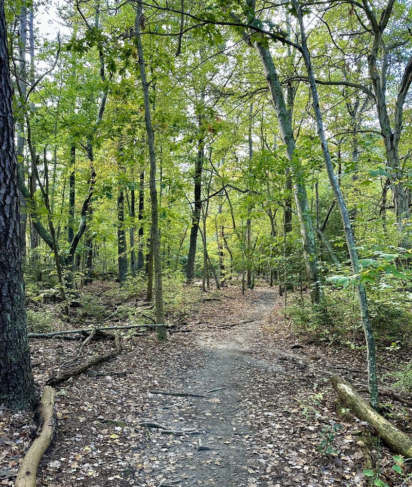 Social spots from Allaire State Park