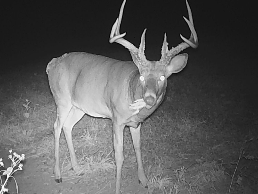 JC OUTFITTERS OF OHIO Updated March 2025 3641 Township Hwy