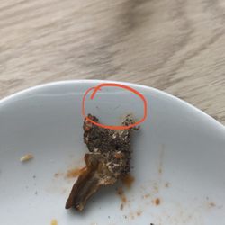 Pizza Hut - The area circled in red is the piece of hair. The crusted bottom piece is the mushroom.
